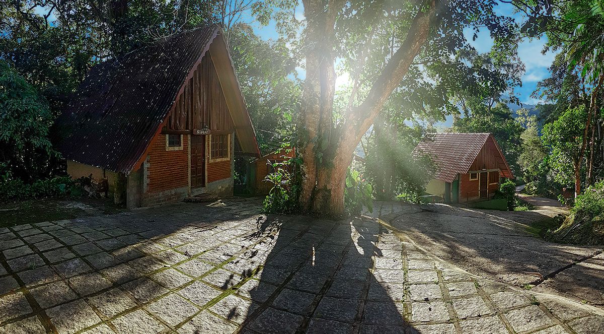 Os chalés canadenses entre as árvores, na luz da manhã