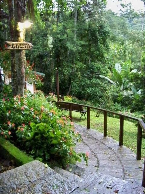 Caminho florido chegando ao Bangalô Lalita — Bangalô Lalita, Gaura Mandir, Teresópolis